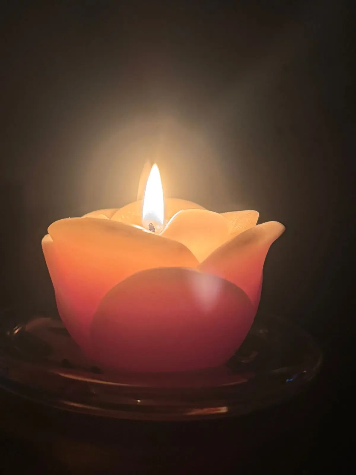 Rose-shaped paraffin wax candle burning in the dark.
